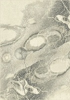 Ковер Isfahan Bellona pearl